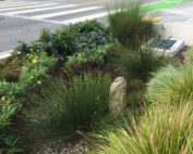 Green Infrastructure
