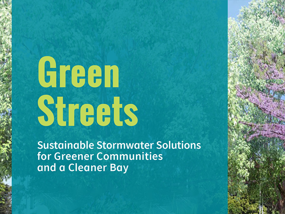 Green Streets Project