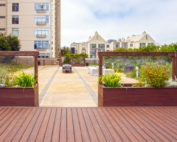 What are Rooftop Gardens
