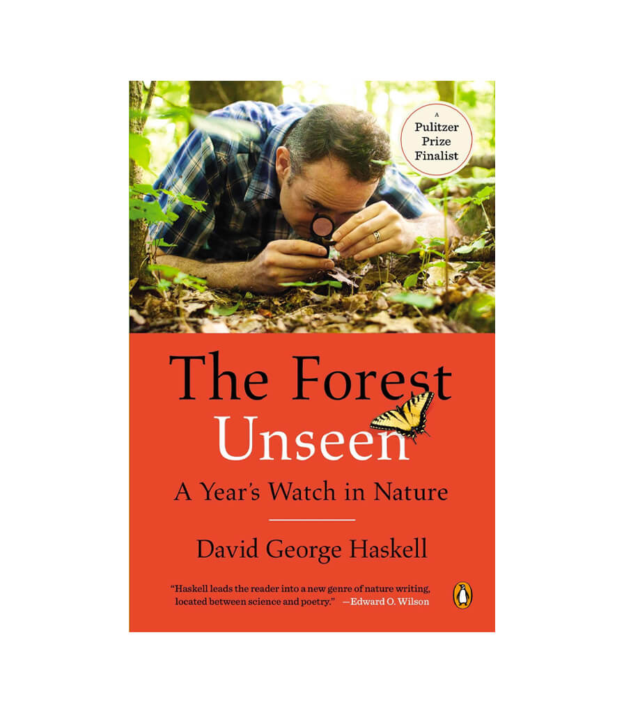 The Forest Unseen