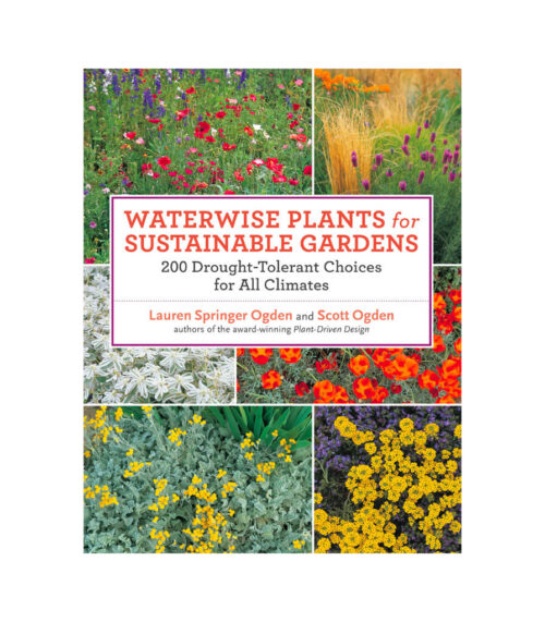 Waterwise Plants for Sustainable Gardens